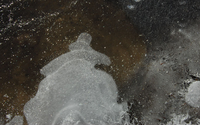 Illustration for article titled Shooting Challenge: Ice, Gallery 2